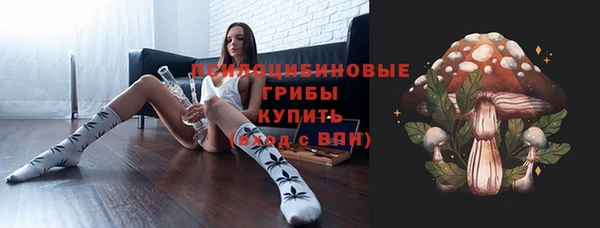 дмт Слюдянка