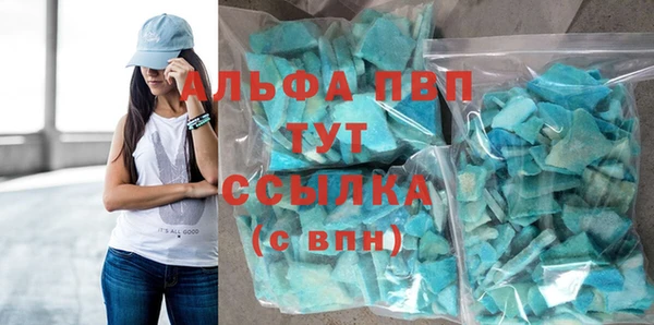 тгк Снежногорск