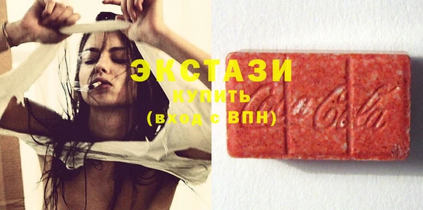тгк Снежногорск
