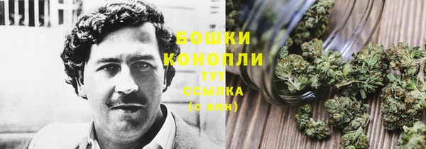 дмт Слюдянка
