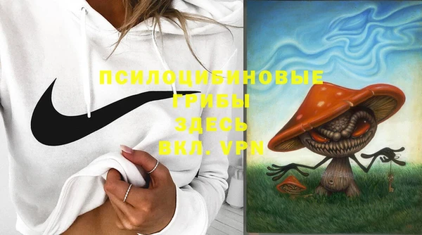 дмт Слюдянка