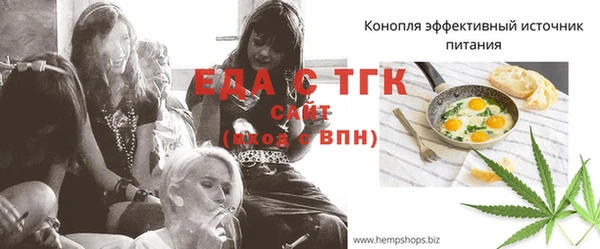 тгк Снежногорск