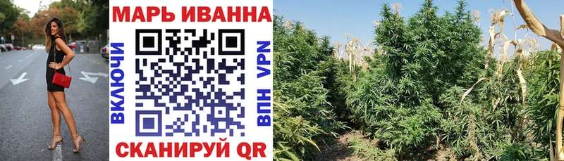МЕГА   Эртиль  Конопля план 